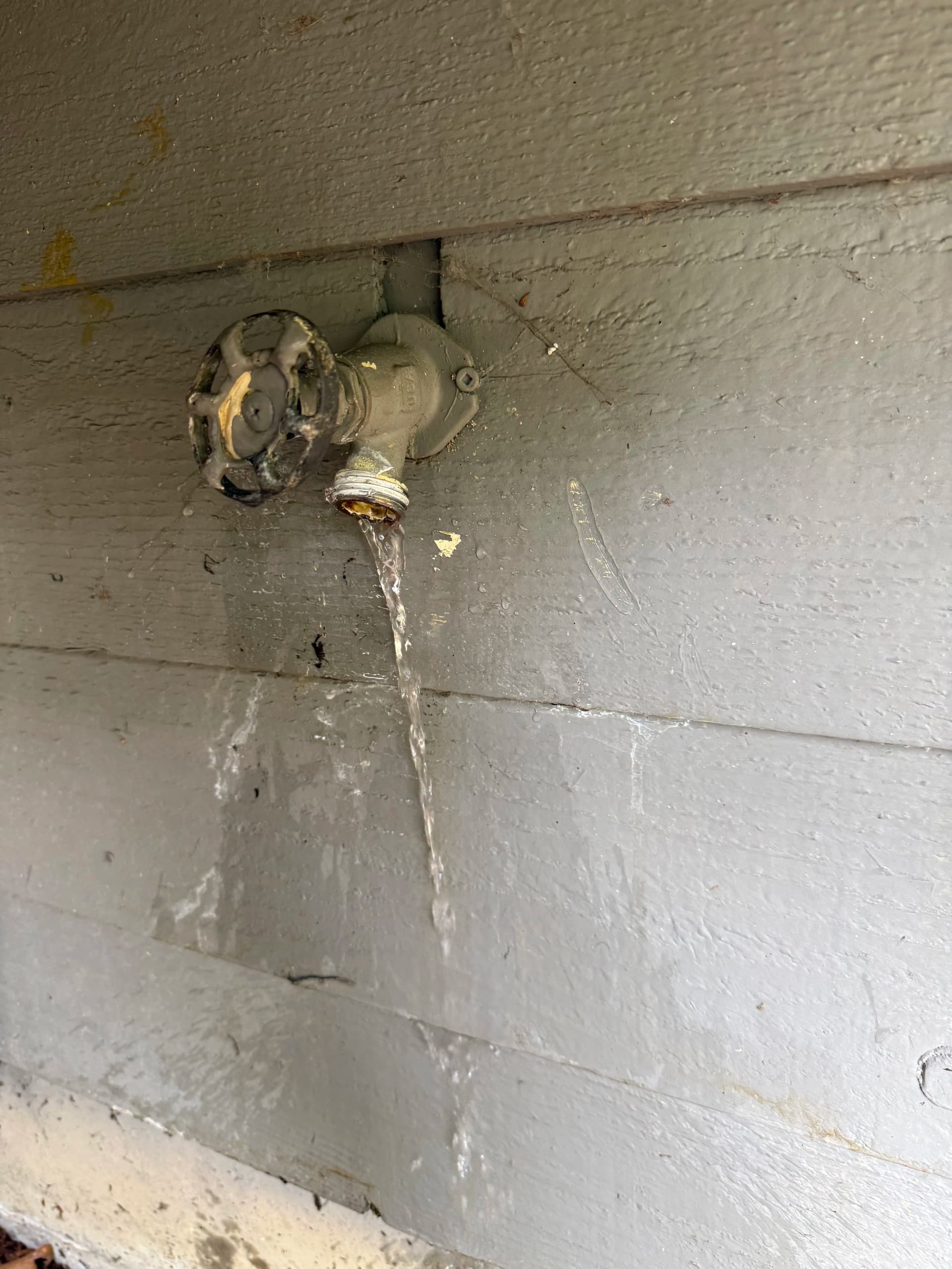 Leaking Hose Bib Replacement Done Right in Auburn image