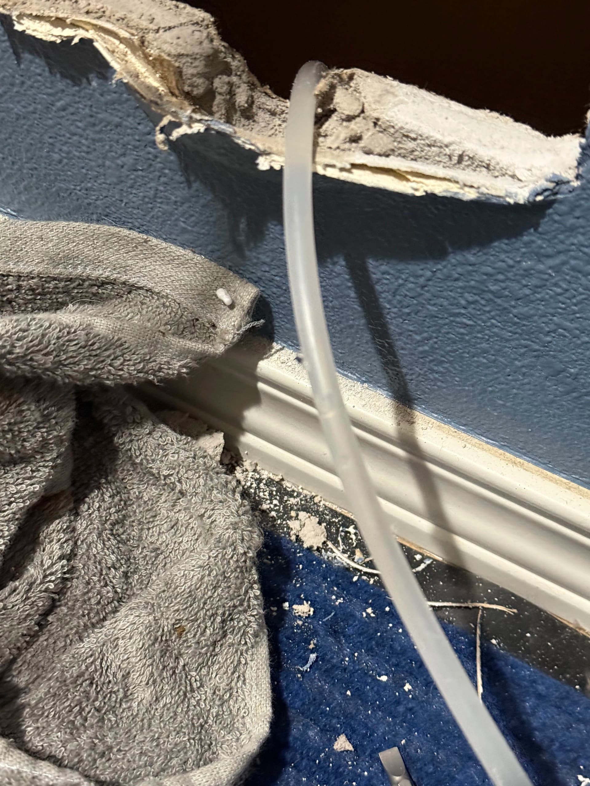 Gallery photos for Hidden Ice Maker Line Leak Tracked Down and Stopped in Tacoma: Image #3
