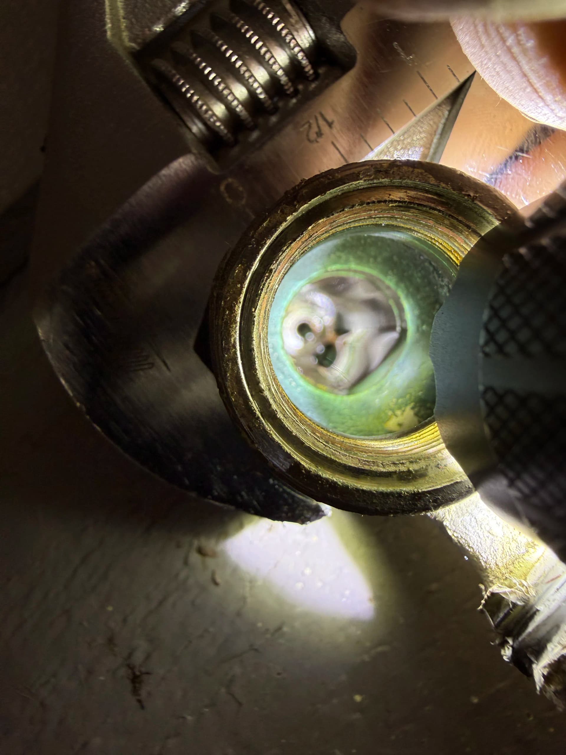 Gallery photos for Leaking Hose Bib Replacement Done Right in Auburn: Image #2