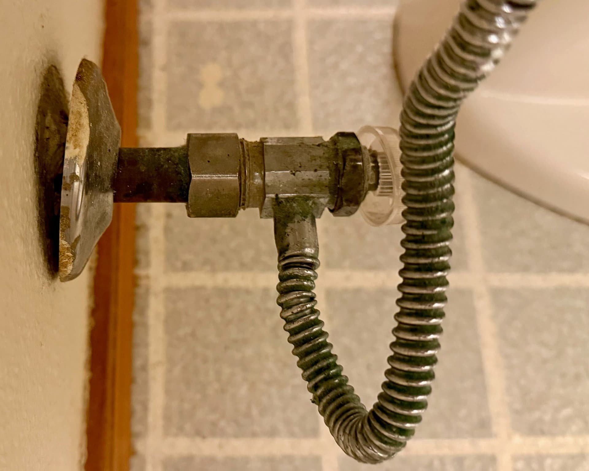 Toilet Shutoff Valve Swap Saves a Puyallup Home From a Slow Disaster image