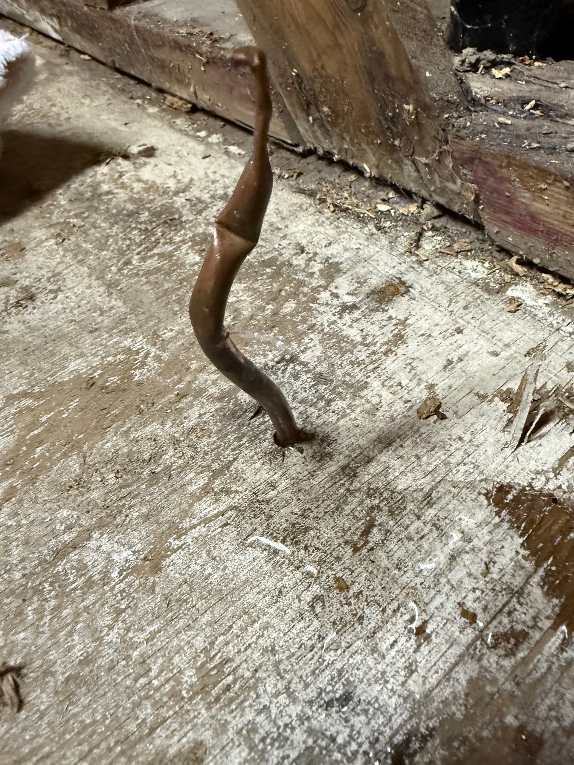 Failed Saddle Valve Found Hiding in a Crawl Space image