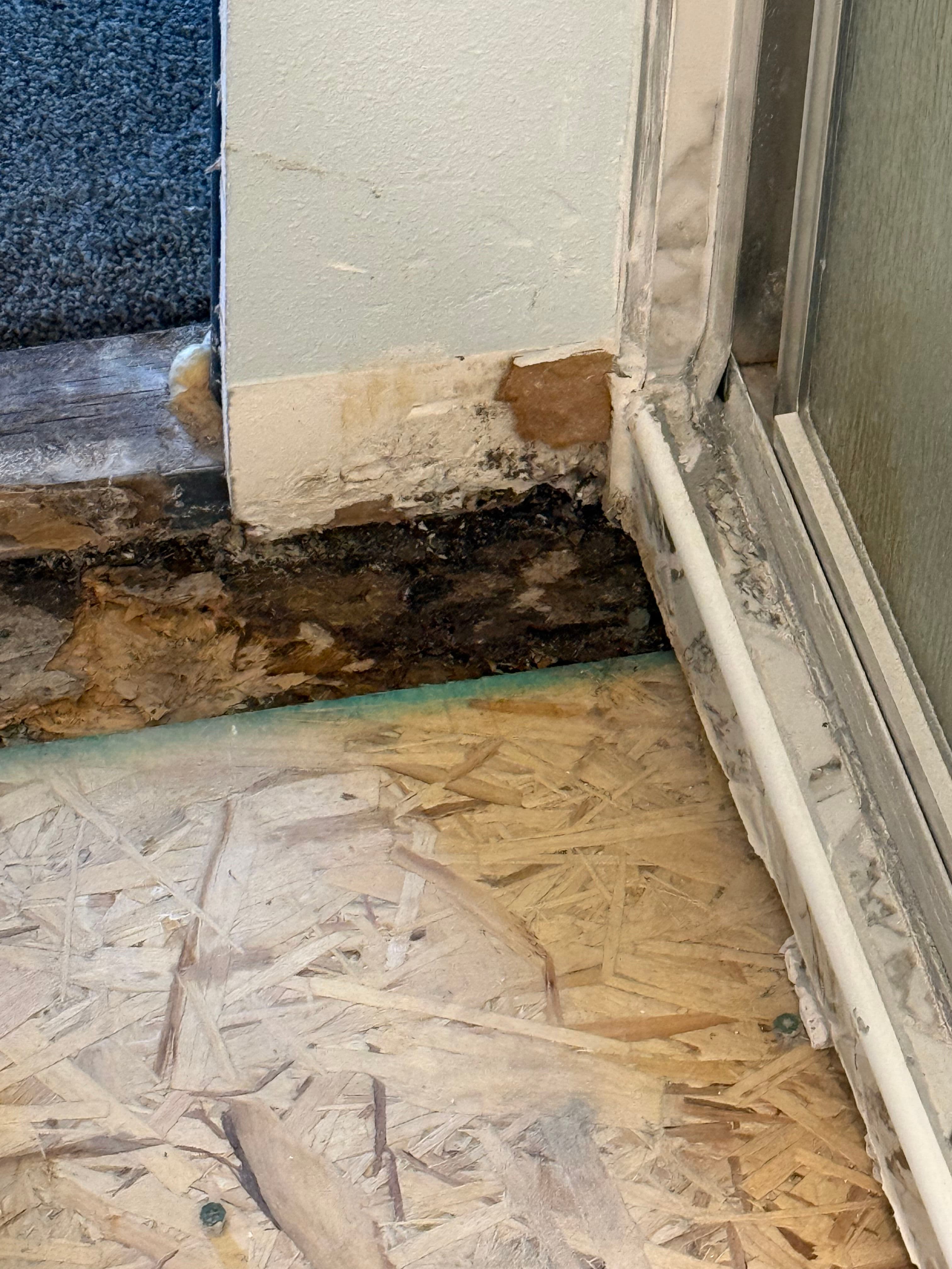 Project Puyallup Shower Leak Traced to Failed Tile Surround and Fixed Right image