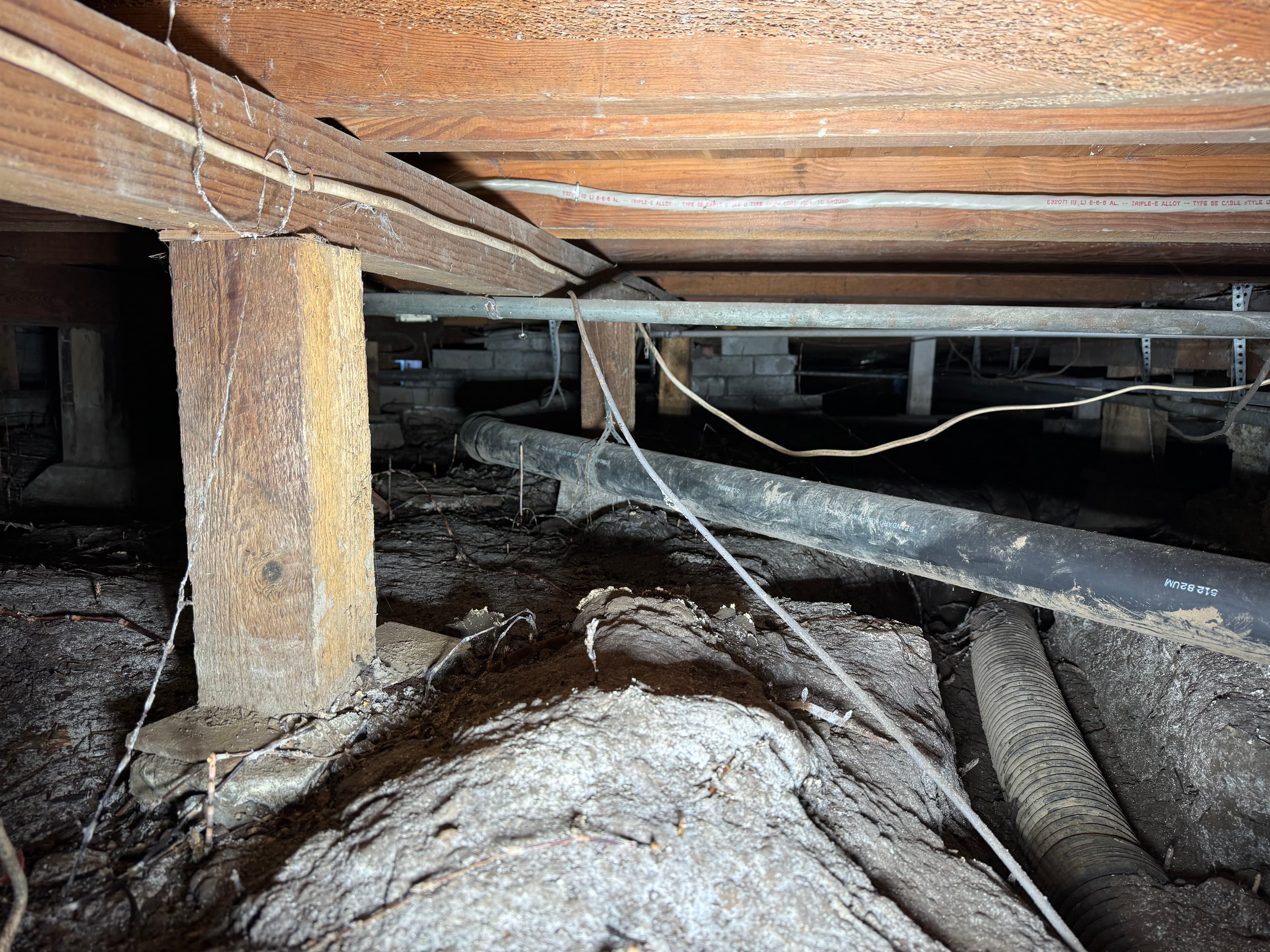 Project Recurring Sewer Backups in Puyallup Traced to Back-Pitched Drain Line image