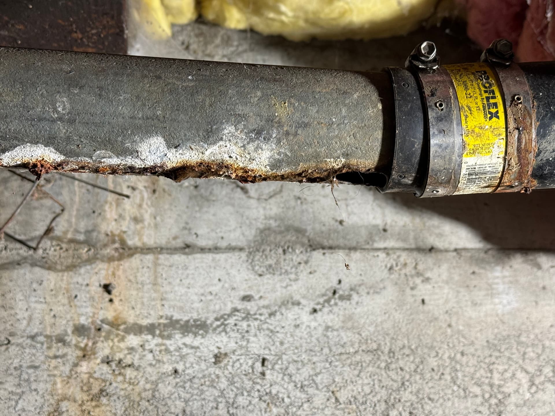 Gallery photos for East Tacoma Crawl Space Drain Line Repair Gone Right: Image #2
