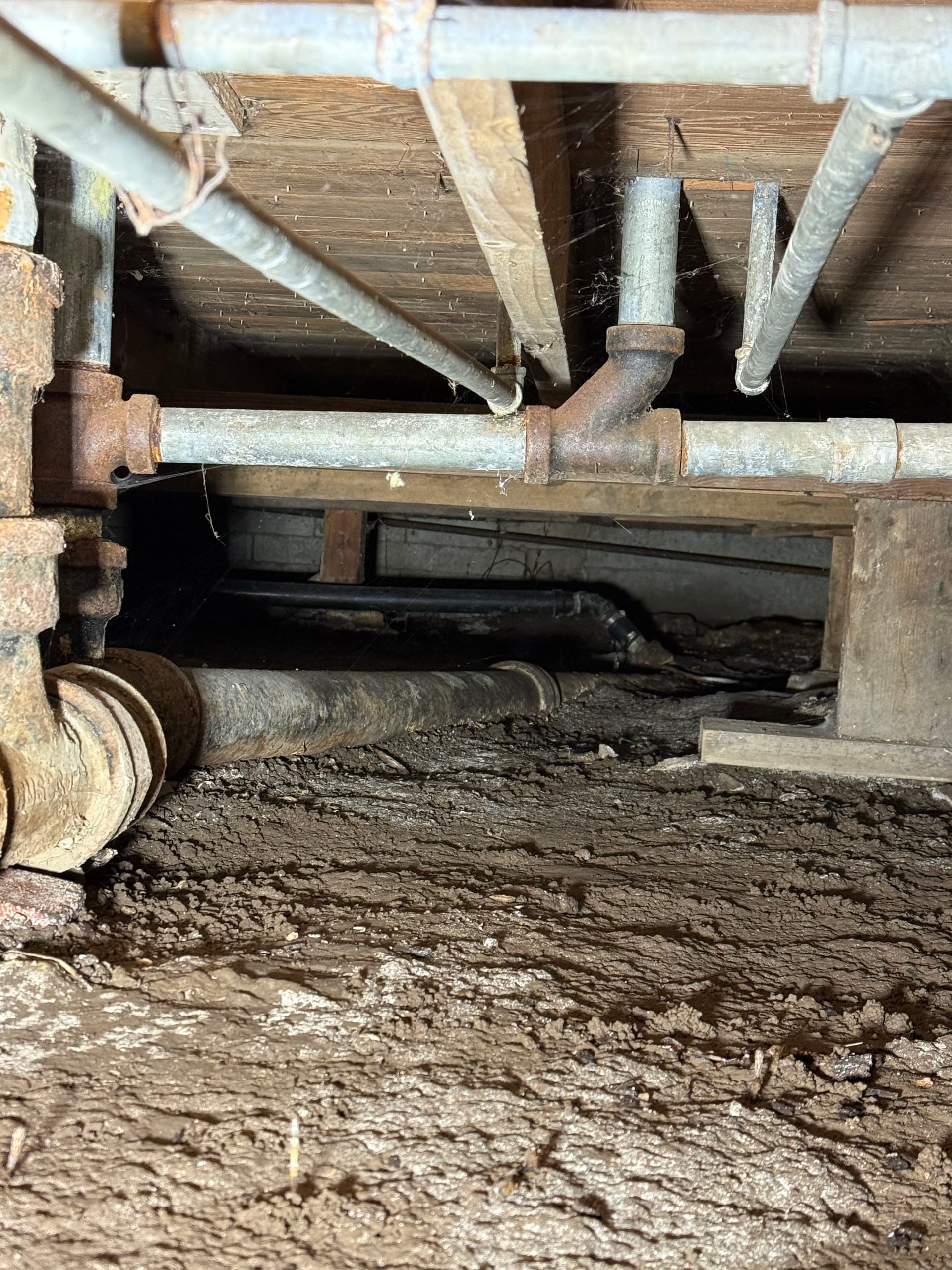 Recurring Sewer Backups in Puyallup Traced to Back-Pitched Drain Line