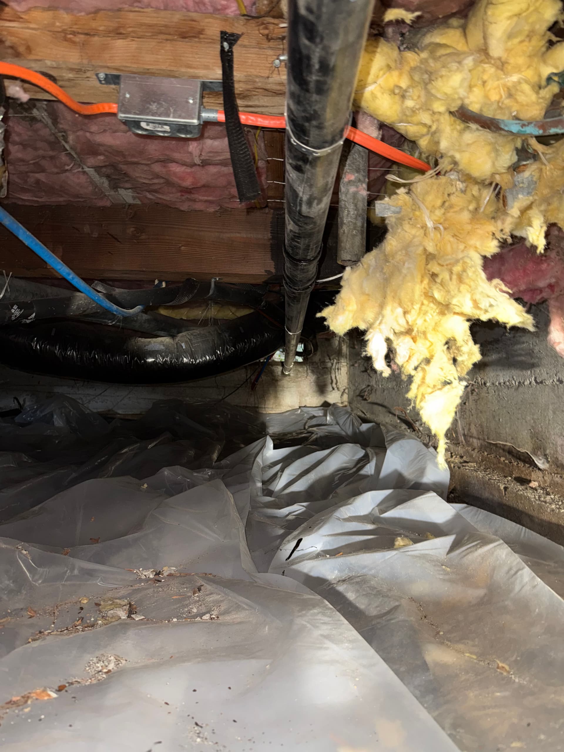 Gallery photos for East Tacoma Crawl Space Drain Line Repair Gone Right: Image #7