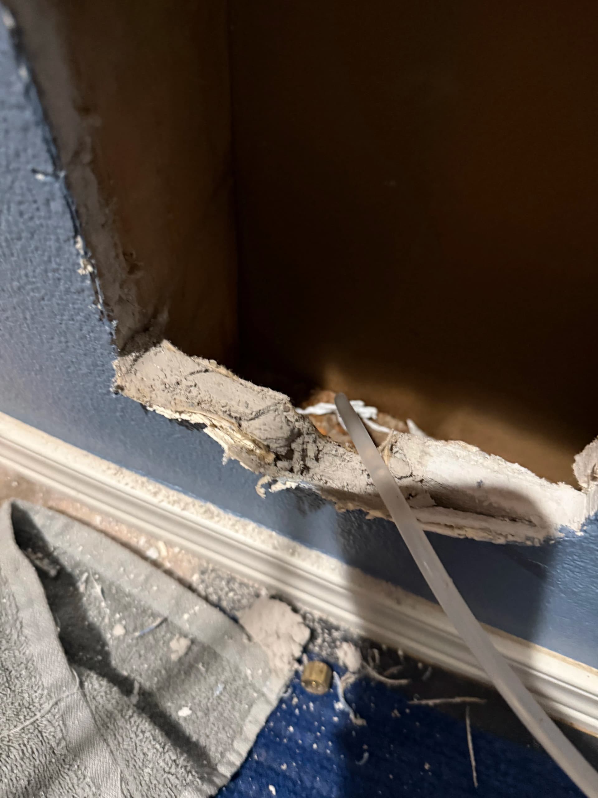 Gallery photos for Hidden Ice Maker Line Leak Tracked Down and Stopped in Tacoma: Image #2