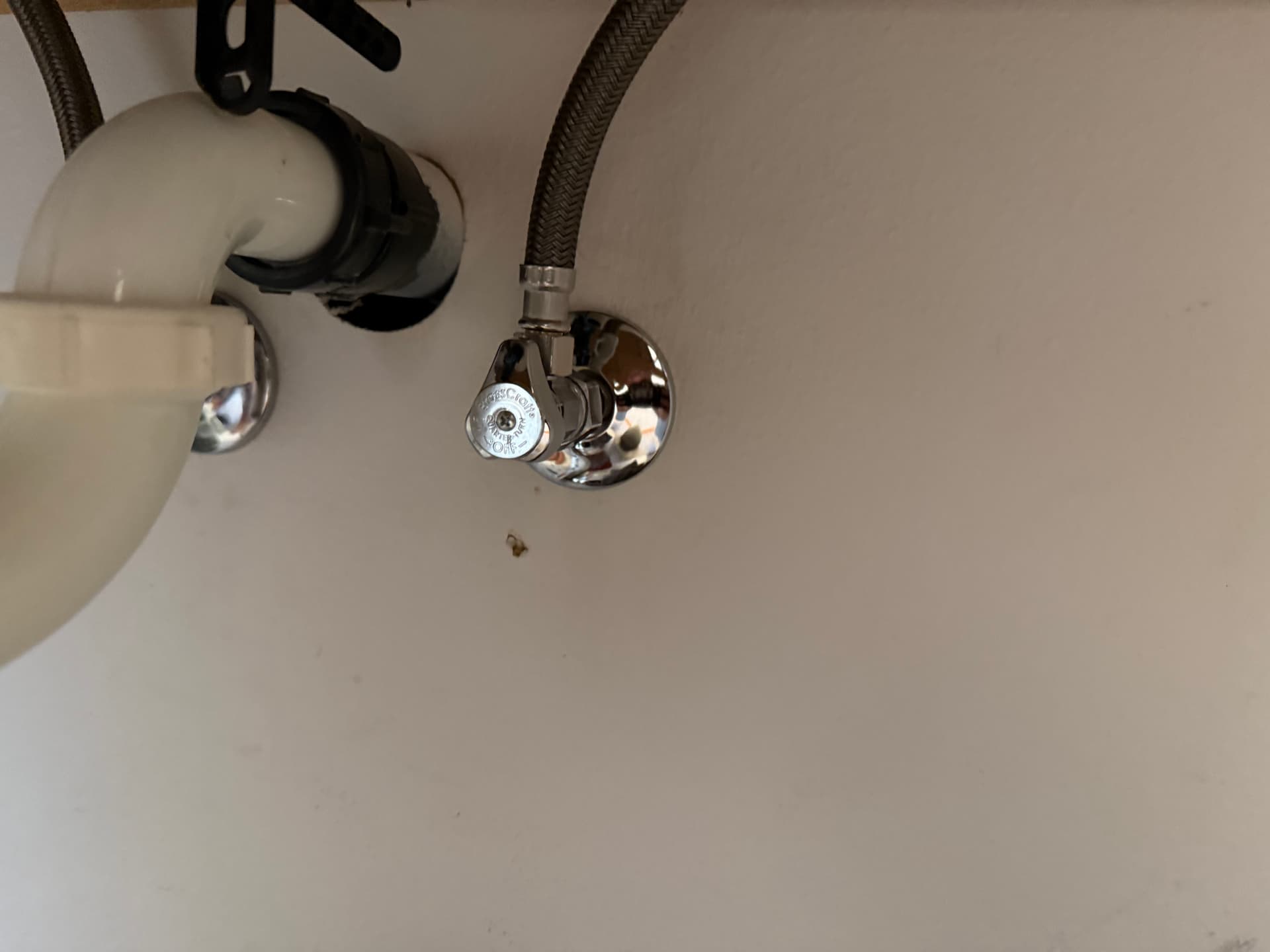 Gallery photos for Failed Plastic Angle Stop Causes Water Damage in Federal Way: Image #2