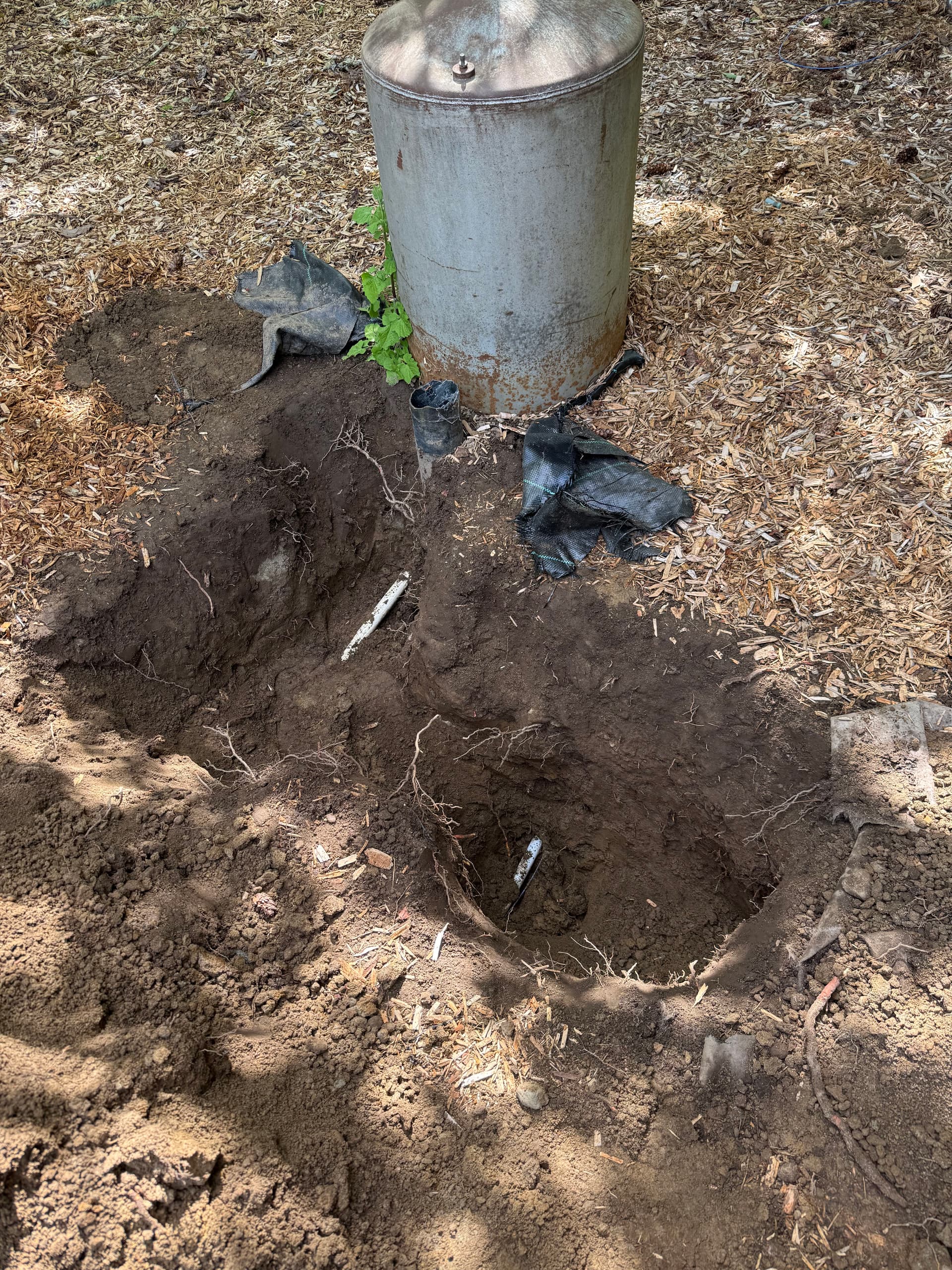 Gallery photos for Water Service Upgrade in Kitsap County with Directional Boring: Image #2