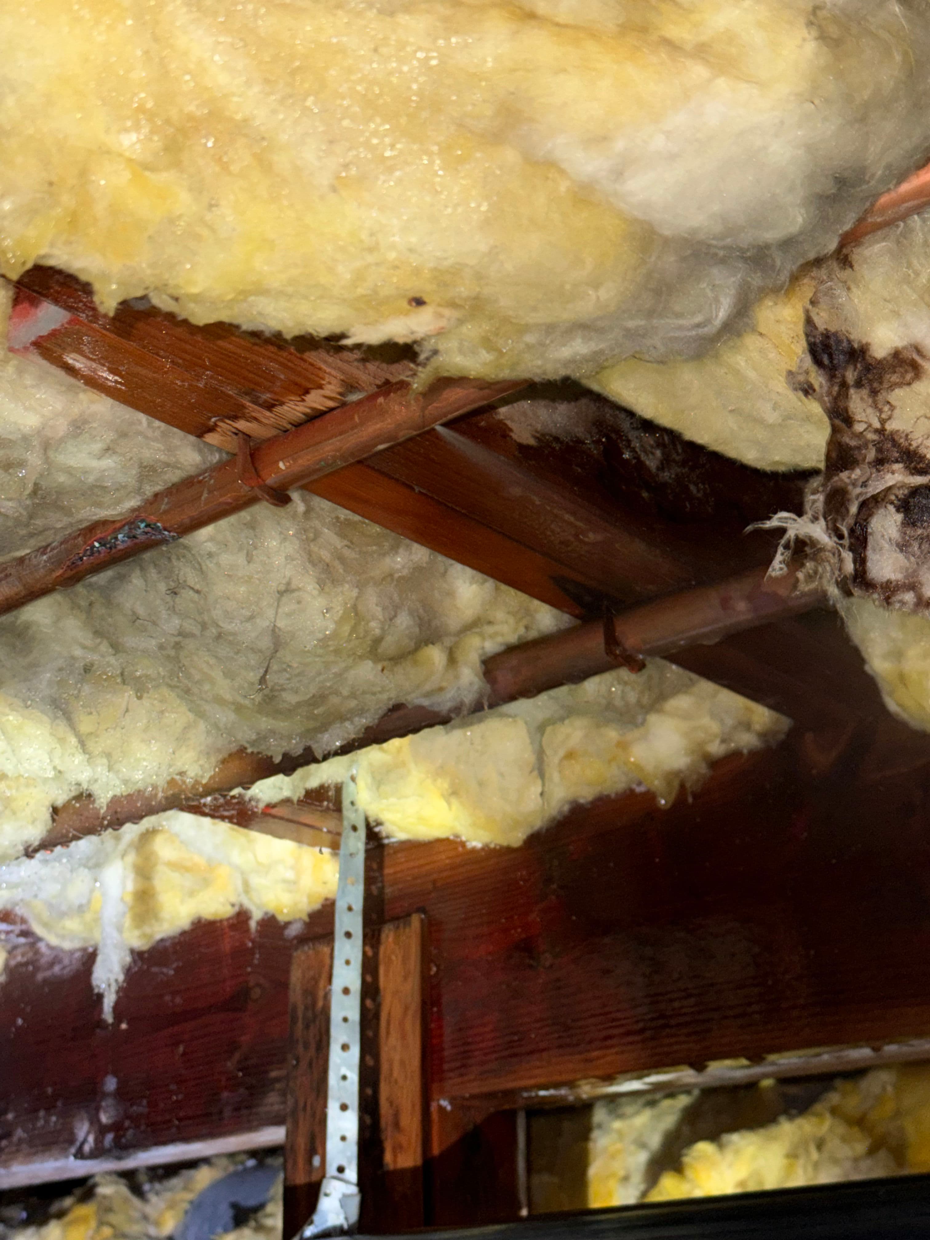 Project Crawl Space Pinhole Leak Found and Fixed in Puyallup image