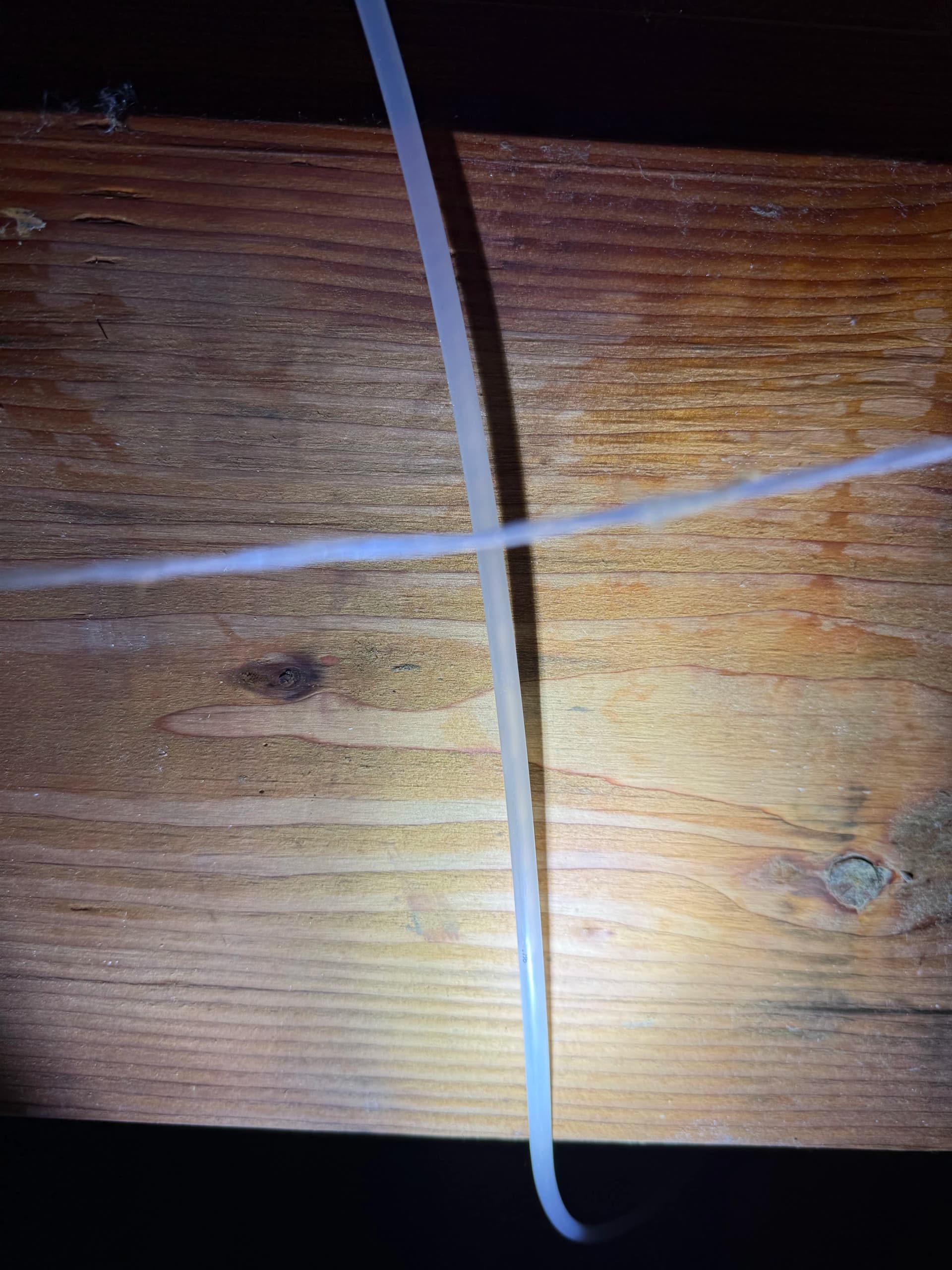 Hidden Ice Maker Line Leak Tracked Down and Stopped in Tacoma image