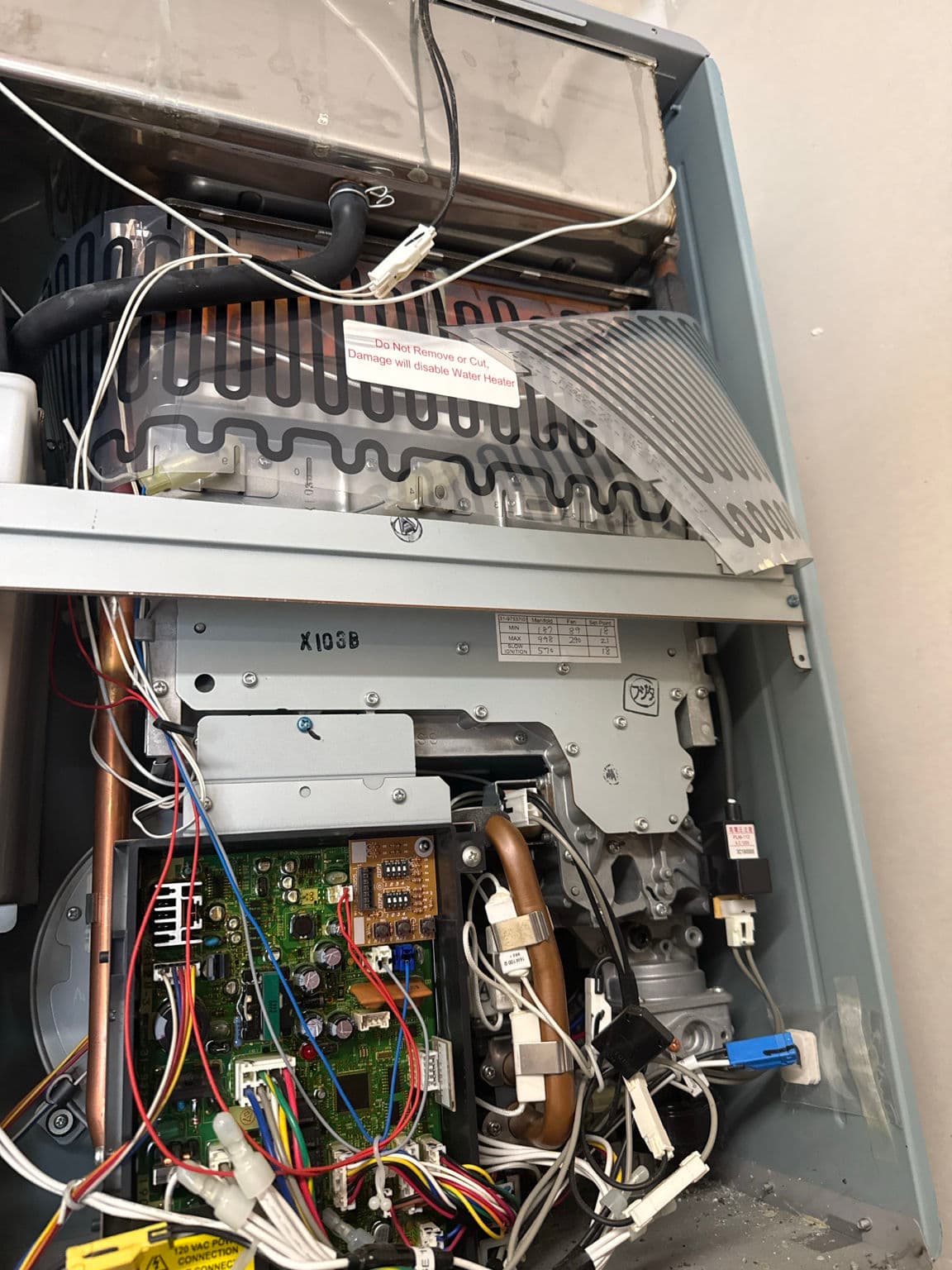 Ruud Tankless Water Heater Flame Failure Fix in Puyallup image